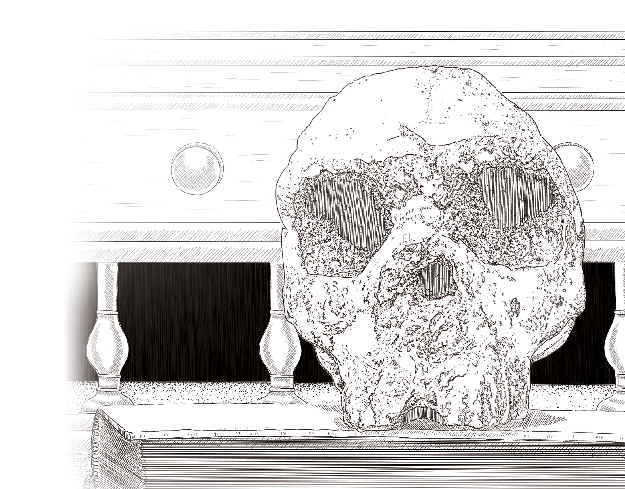 Above This drawing depicts the Forbes’ Quarry skull (also known as Gibraltar 1), the first adult Neanderthal remains ever discovered. The skull was found in Gibraltar in 1848 eight years before the type specimen that gave Neanderthals their name was discovered in the Neander Valley, Germany and came from a woman aged at least 40. Today, it is held by the Natural History Museum in London.