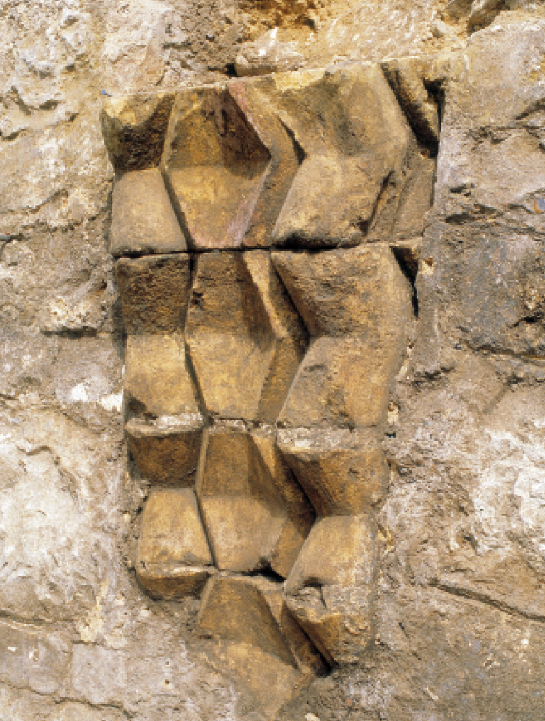 Image: MOLA.