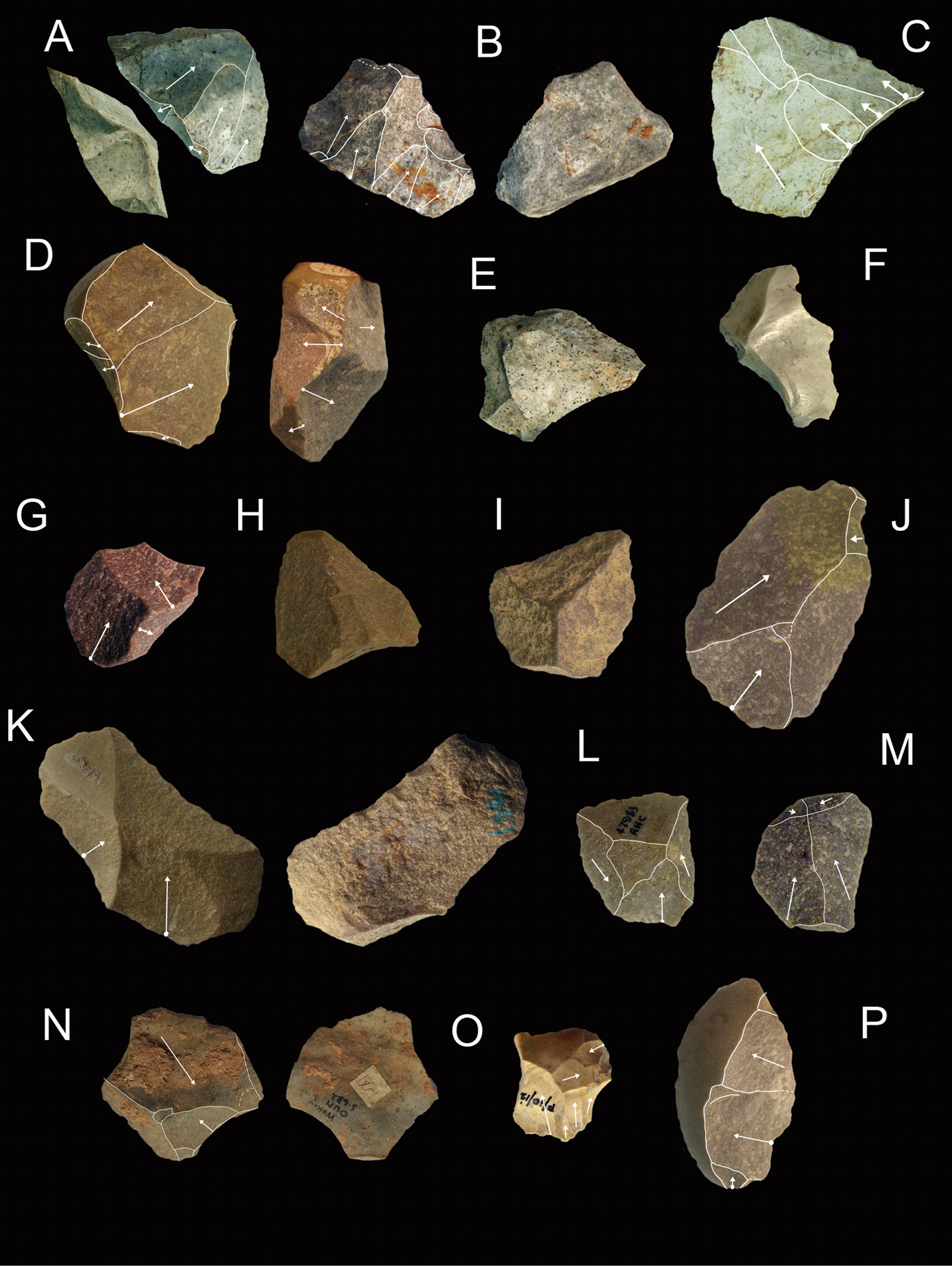 left Waste flakes created during tool-making using the Discoid method, an extremely economical technique that did not need much in the way of core preparation.