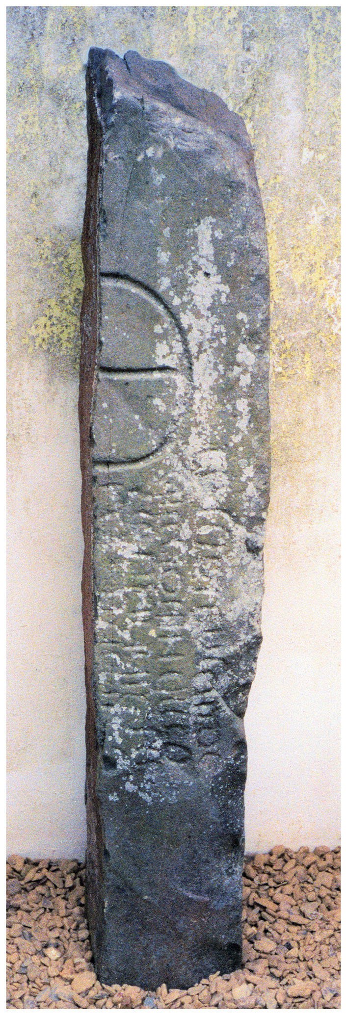 ABOVE Llanllŷr (Ceredigion, in the parish of Llanfihangel Ystrad, also known as Ystrad Aeron) has one of the earliest inscribed stones in Wales (split in half at some point to convert it into a building stone), recording the gift of a patch of wasteland belonging to one Ditoc, which Occon, son of Asaitgen, gave to Madomnuac. These are Irish names, and the formula suggests that Madomnuac was a priest, possibly the head of a religious community.