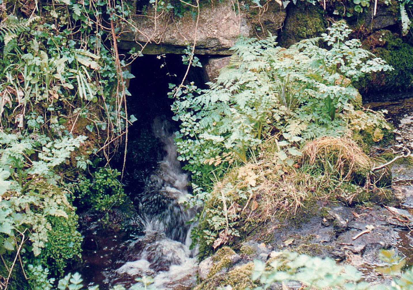 LEFT The Cornish parish of St Keverne was originally dedicated to St Akeveranus, and the early Christian monastery here was one of a number of similar settlements on the Lizard Peninsula later absorbed into the Cistercian abbey at Beaulieu. St Kieran’s fountain, shown here, probably supplied the early monastery with clean water.