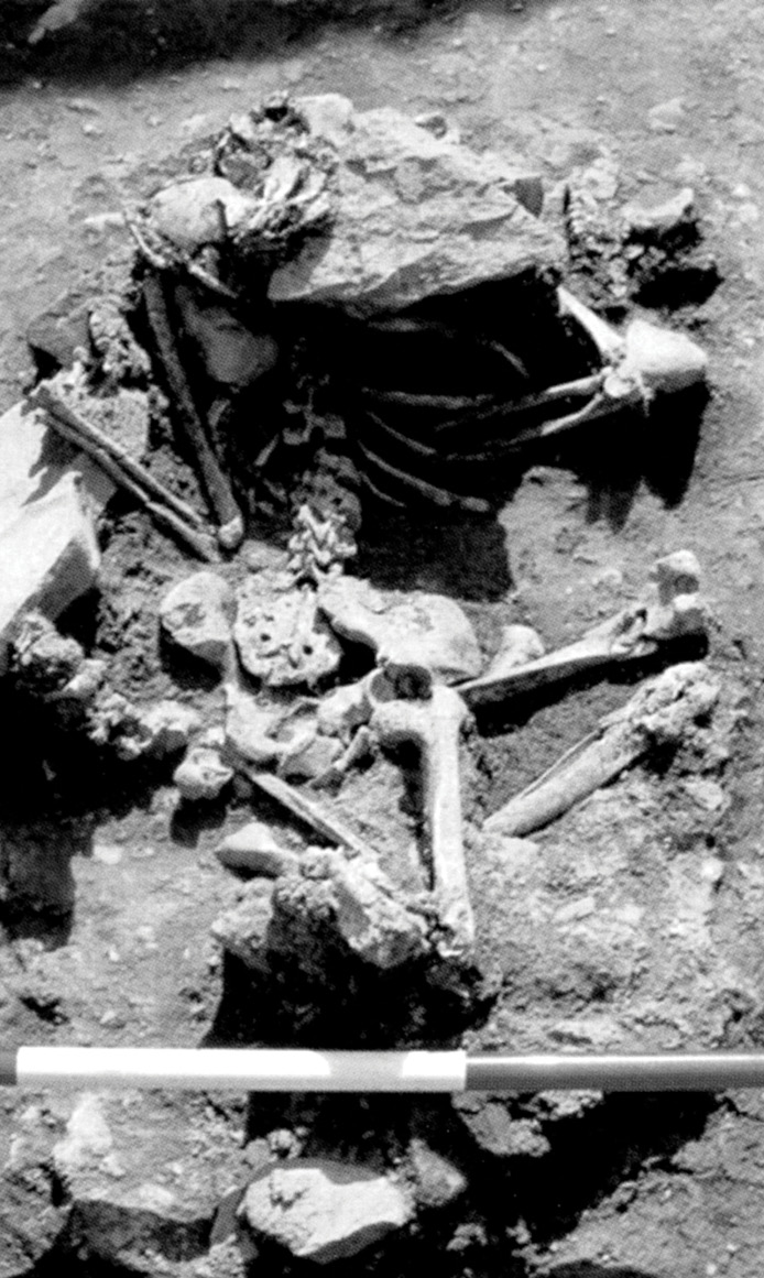 ABOVE Burial B4 at Knowth, a flexed and prone female dating to the 1st to 3rd centuries AD, was buried, like several other people in the group, with 43 blue glass beads, which may have been stitched to her clothing as a symbol of group identity. The heavy stone placed over her head might indicate a desire to prevent her spirit rising from the grave to haunt the living.