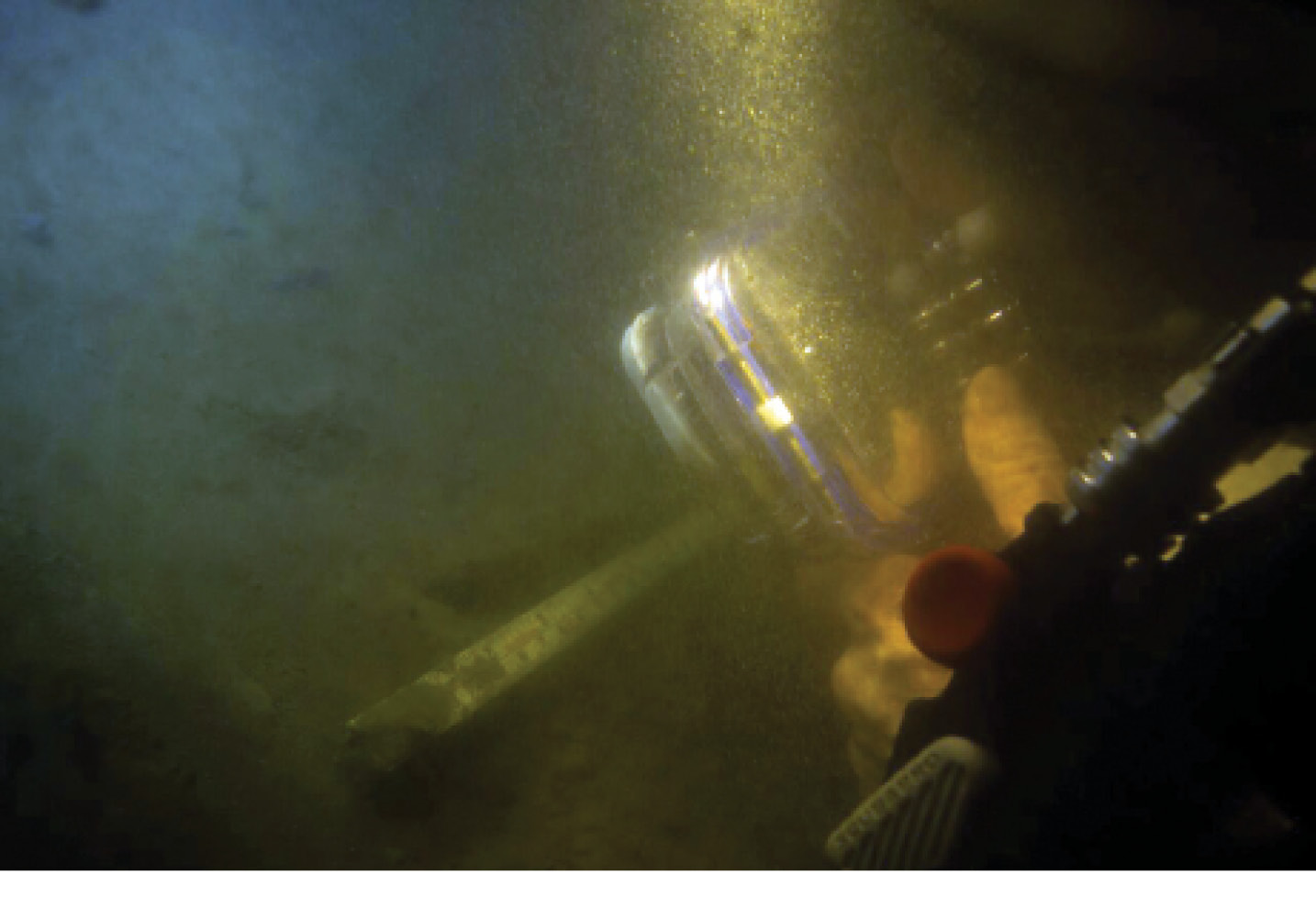 left Diving in the Thames Estuary is no mean feat; visibility on the wreck site is extremely poor. below The anaerobic conditions of the silty mud at the bottom of the Thames Estuary means that many artefacts made from organic materials have survived in very good condition, including whole leather shoes.