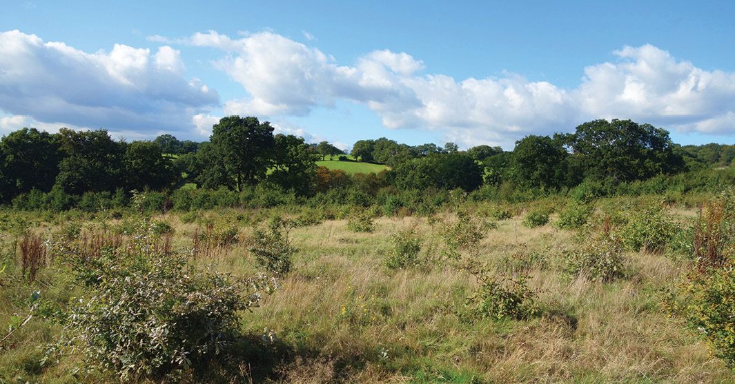 LEFT There are concerns that the proposed changes to the planning system could lead to development in previously protected Green Belt areas.