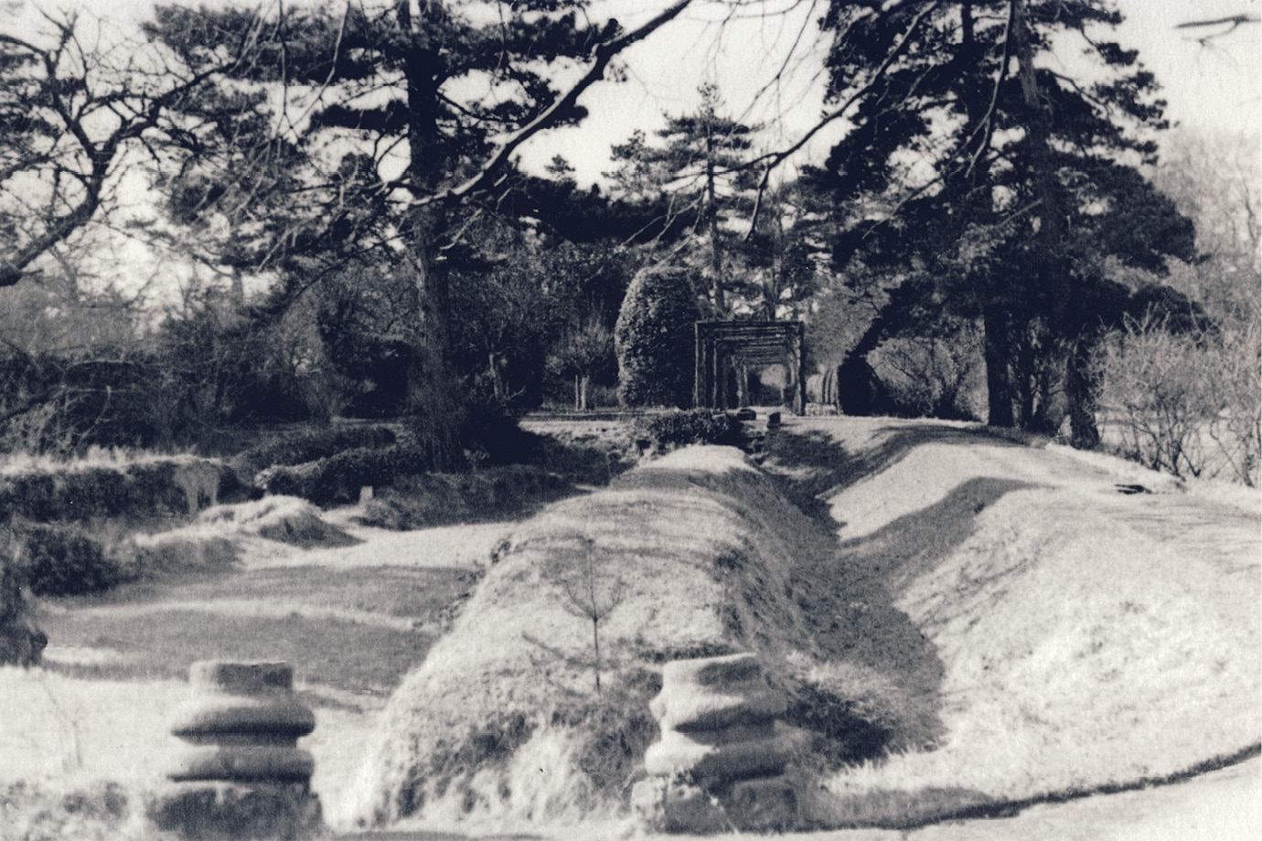 IMAGES: reproduced courtesy of Sir Andrew Lawson-Tancred