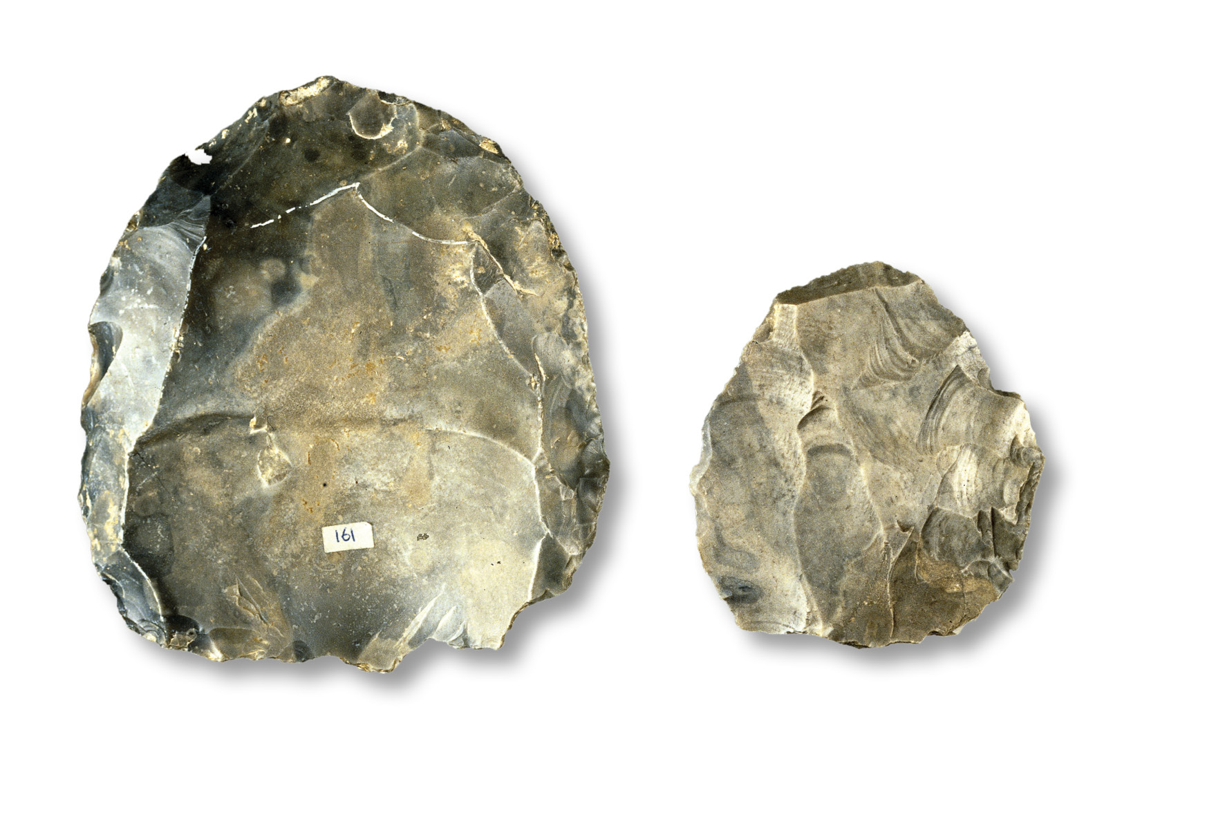 below A classic example of Levallois technology: a core that has been prepared by striking off small shaping flakes. This flint example is from the collections of the British Museum.