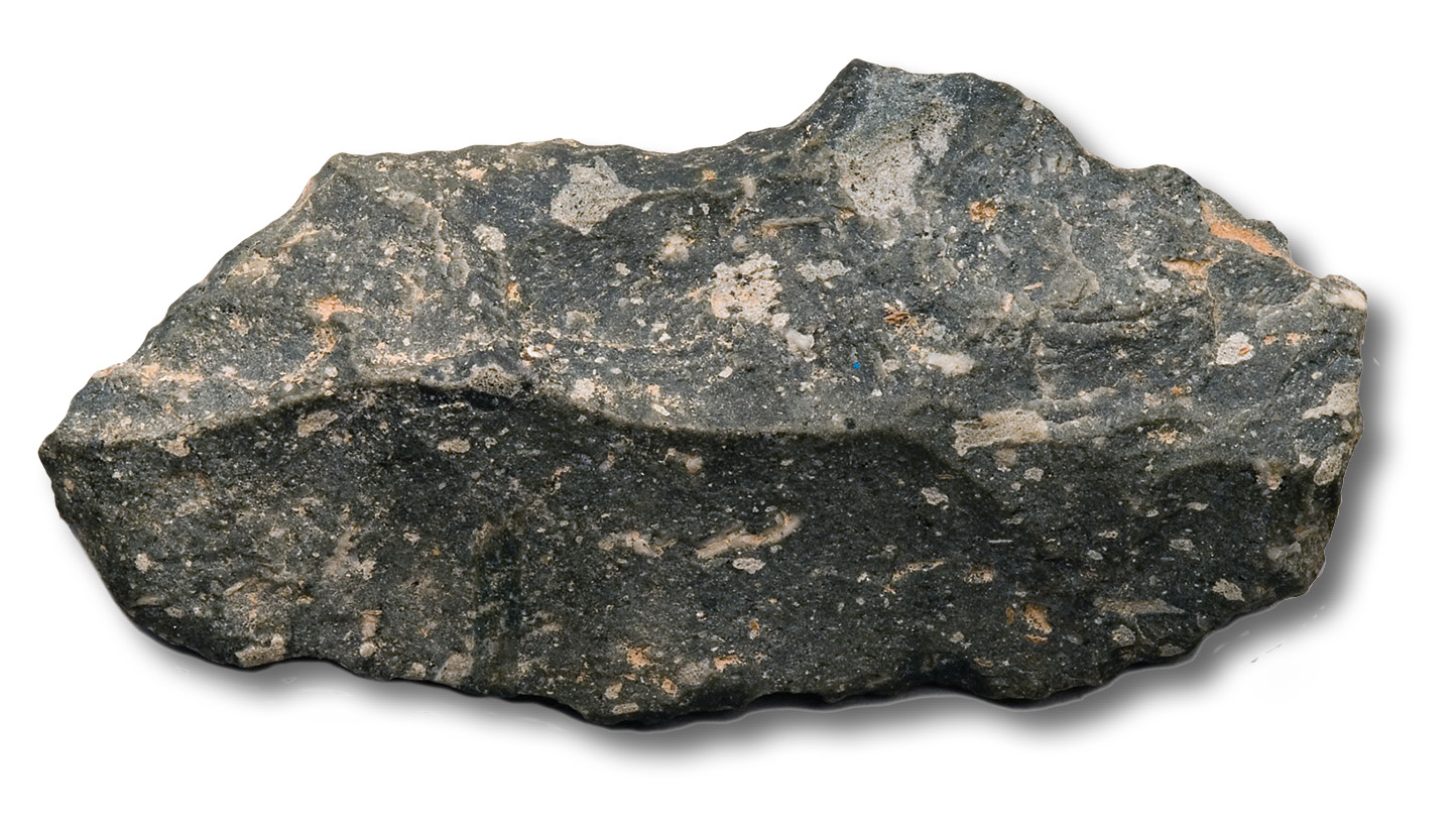 Neanderthal traces from Pontnewydd cave in Wales (both held by St Fagans National Museum of History): this Levallois flake (above) was crafted from local igneous rock, while the fragment of Neanderthal bone (right), something rarely found in Britain, is a piece of upper jaw from an eight-year-old boy, with the upper first and second molars still in place.
