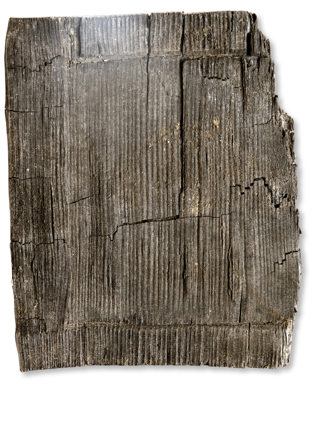 Of the many objects found in the House of the Bicentenary, perhaps the most intriguing was a set of wax tablets (above) in a chest, describing the legal case of an individual named Petronia Iusta, whose free status was in question. Other finds include a signet ring (top), a bronze animal hoof (above left), and a perfume container in the shape of a bird (left).