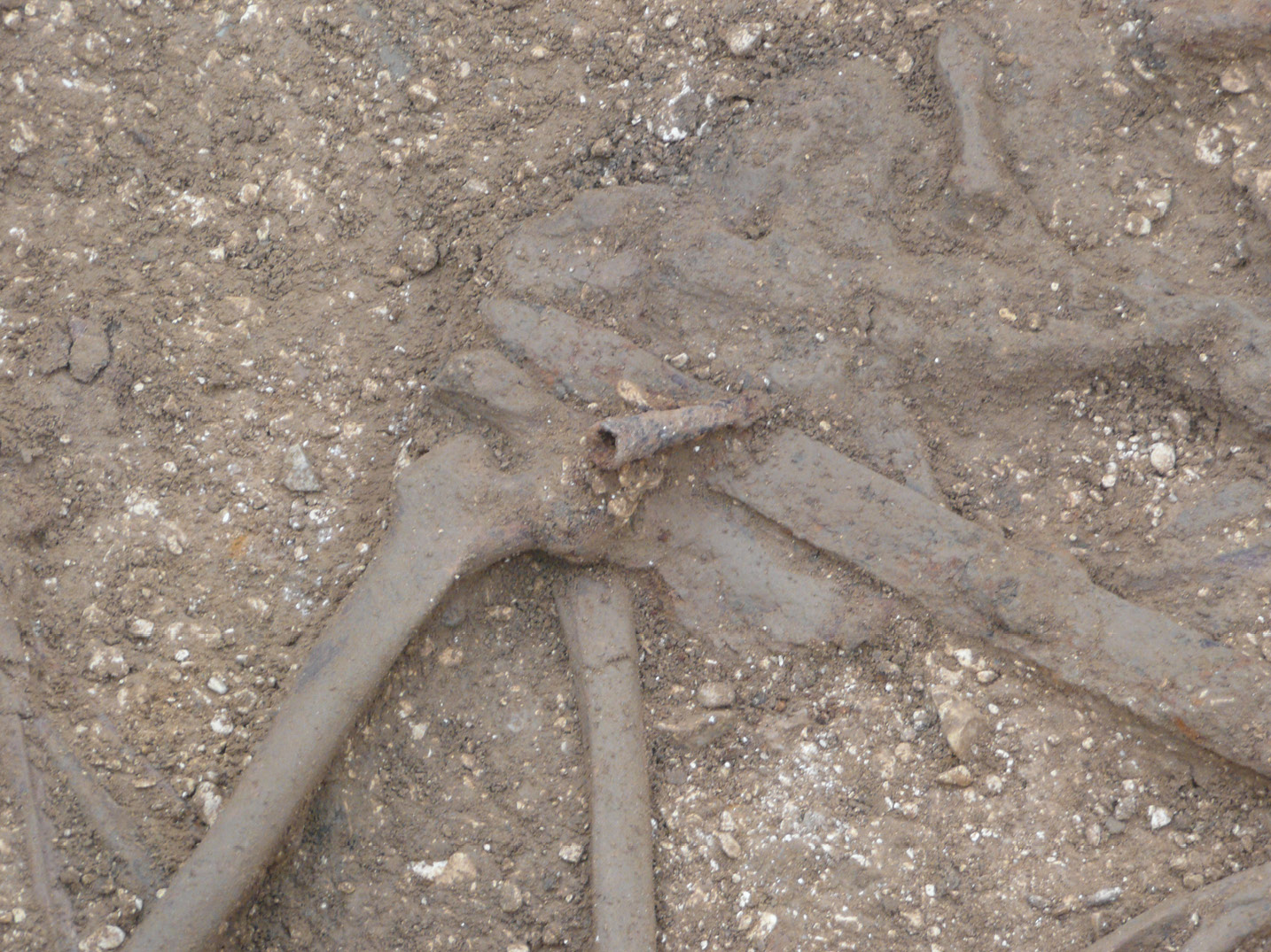 Photo: MAP Archaeological Practice / P Halkon.