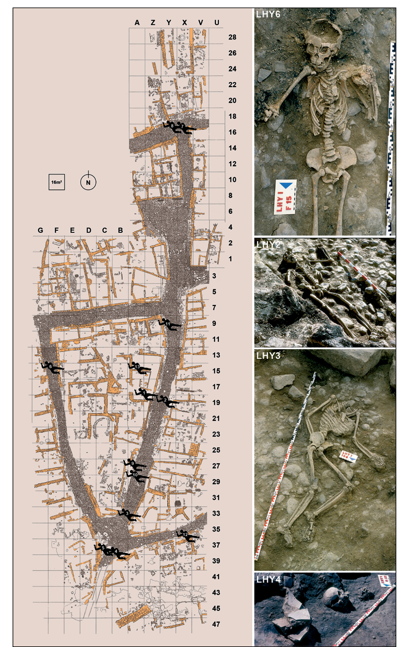 RIGHT The remains of 13 individuals were found around the site of La Hoya, lying where they were killed, many with evidence of traumatic injuries.