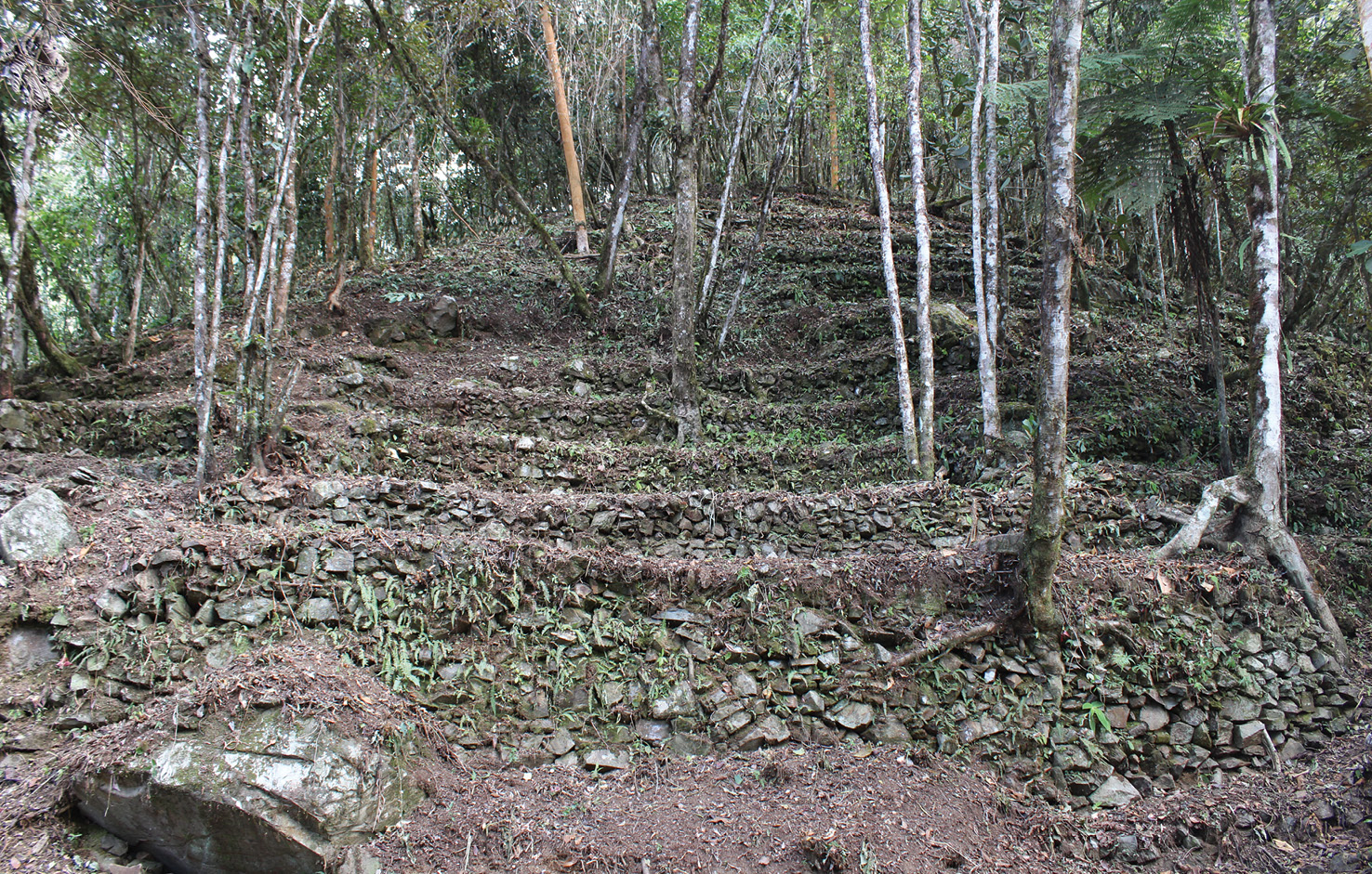 BELOW Further terraces line the slope above the main plaza. According to locals, about 8ha are covered with such features, although dense rainforest has prevented this being tested on the ground.