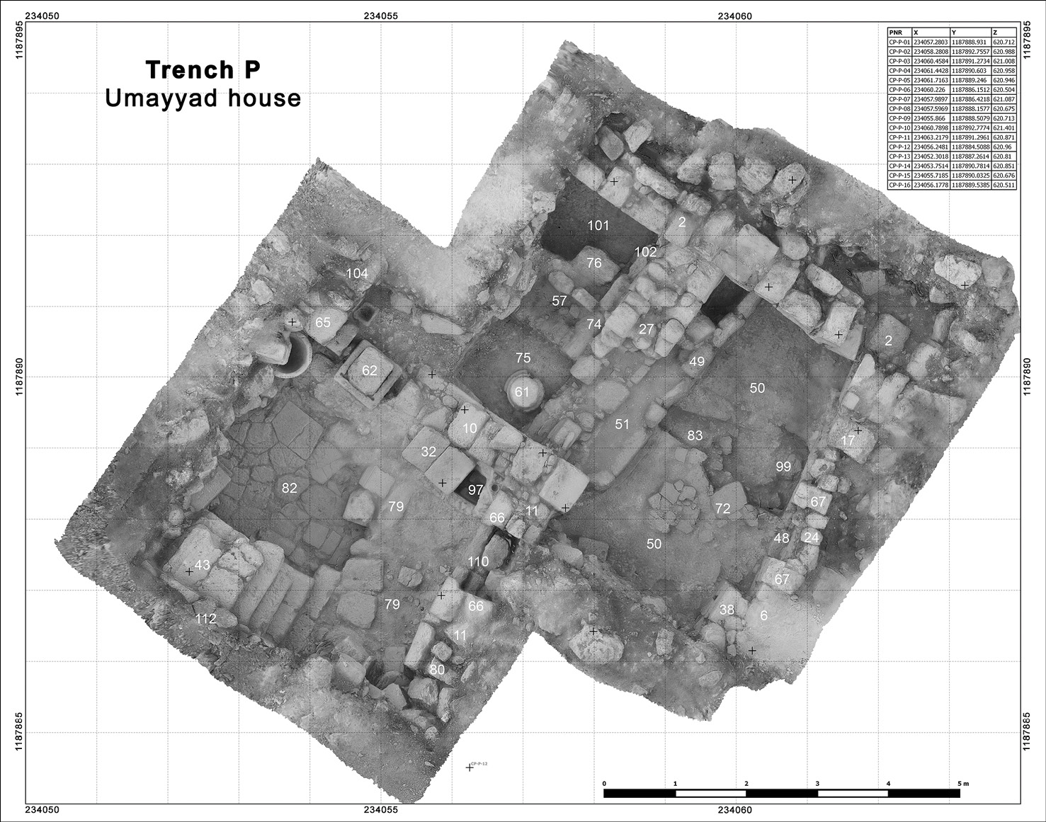 BELOW A photogram of the excavated parts of the House of the Tesserae in Trench P. The trough can be seen in the north-western corner of the easternmost room, marked 51 and 45.