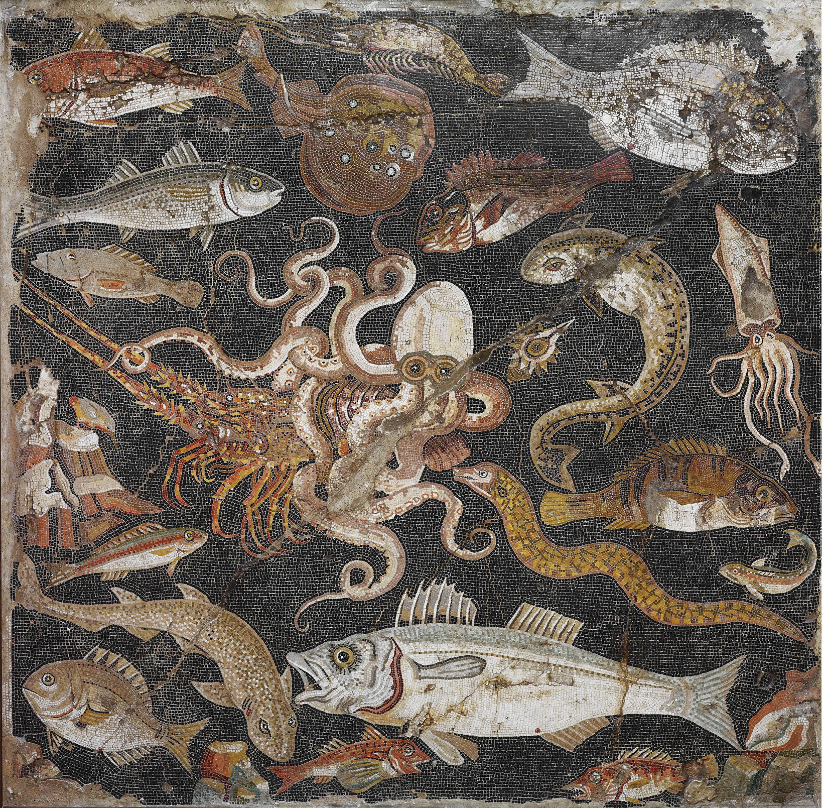 left The waters of the Bay of Naples provided the residents of Pompeii with plenty of fish. A plethora of sea creatures are depicted in detail in a mosaic panel from the 1st century BC,