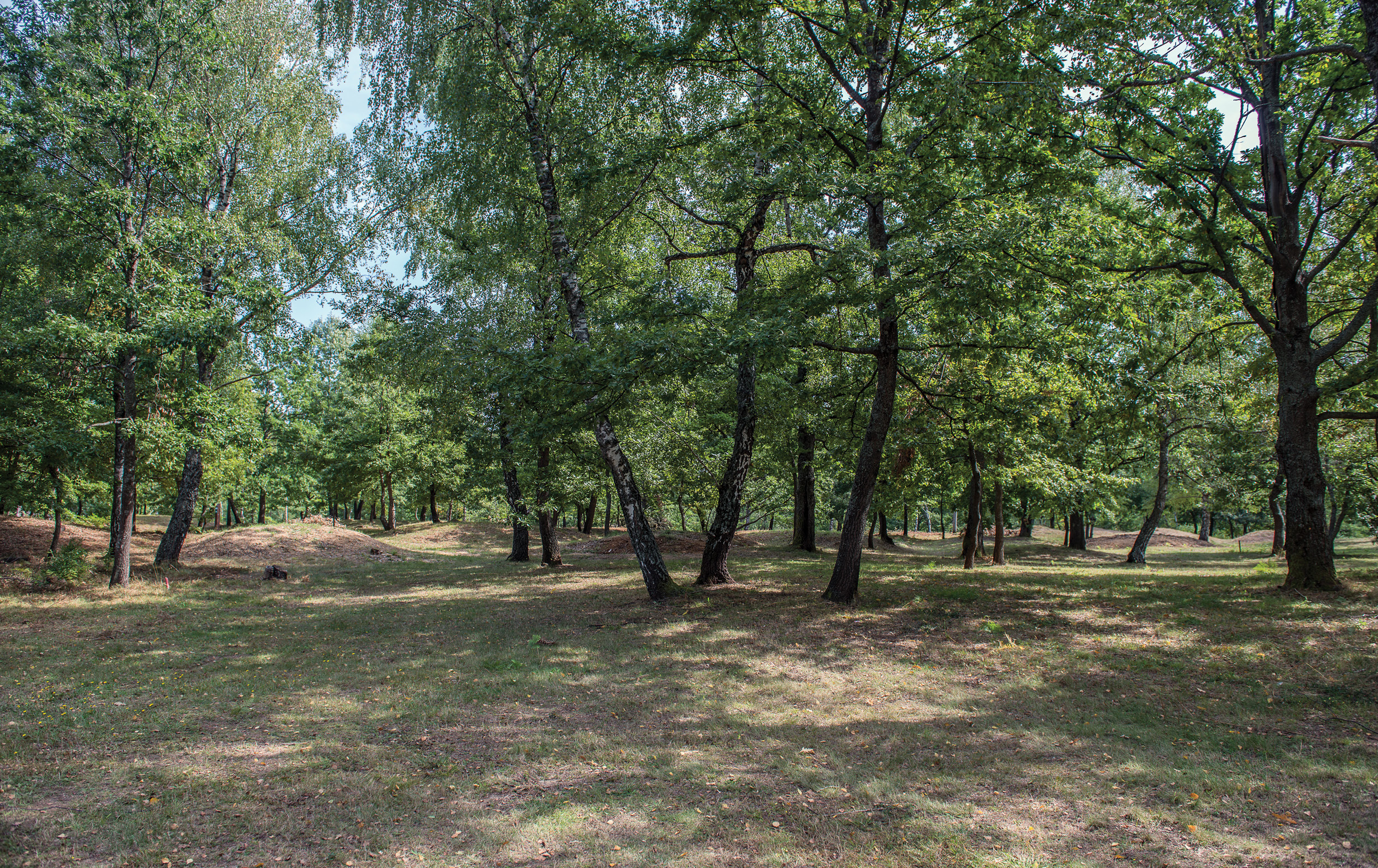 main The Iron Age Cemetery at the Budinjak Archaeological Park. inset This 3rd millennium BC ceramic pot is featured on the Croatia’s 20 kuna banknote.