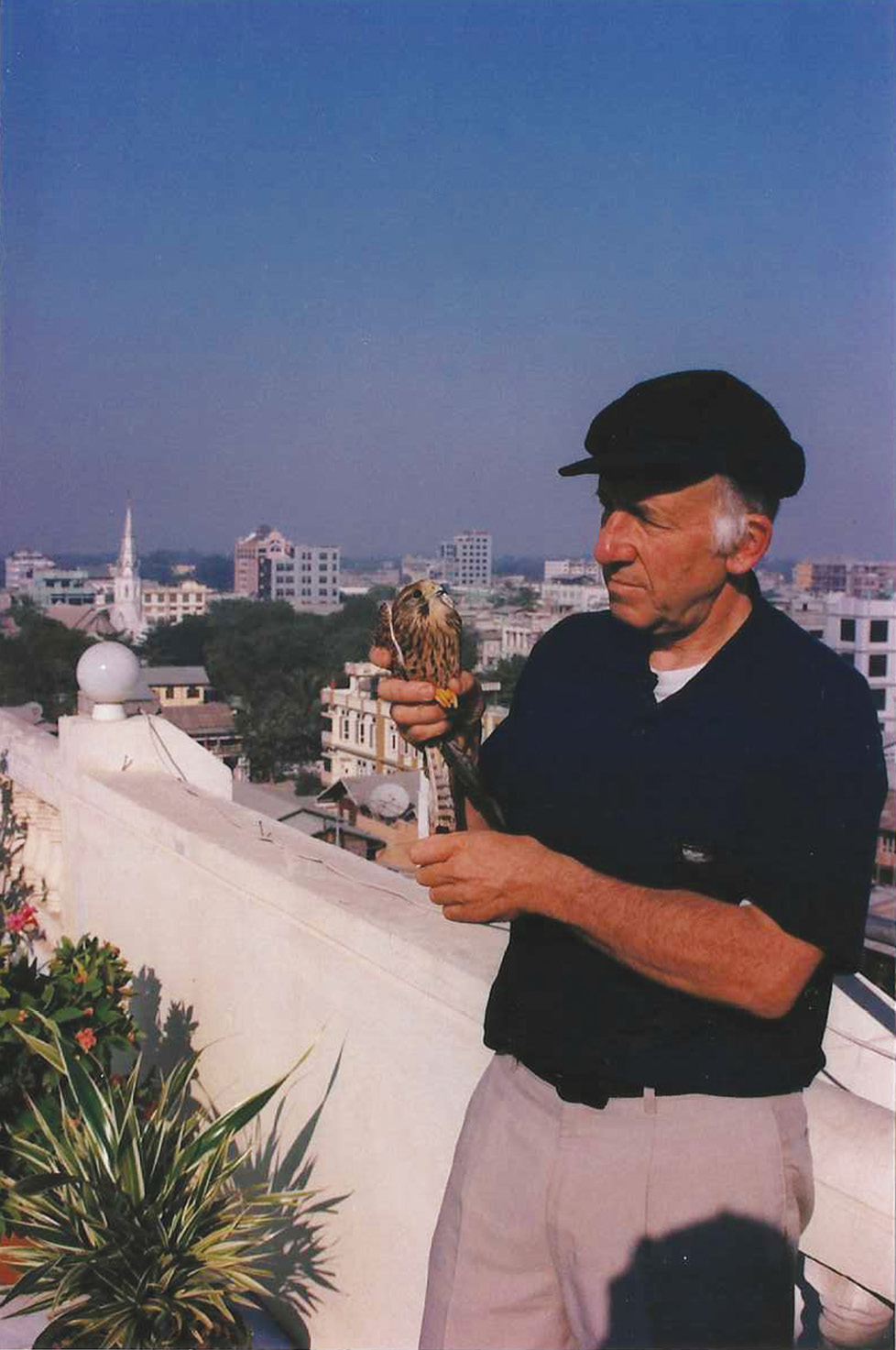 RIGHT In Mandalay, I bought a captive falcon and released it into freedom, hopefully a good omen for Myanmar.