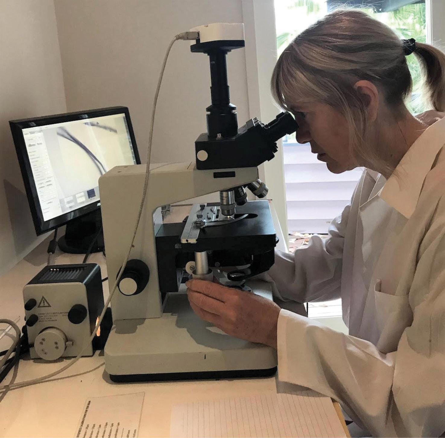 left Work by Birgitta Stephenson revealed the first traces of insect-processing detected on stone tools. Parts of Bogong moth wings and legs, some burnt, were detected among the samples (inset).