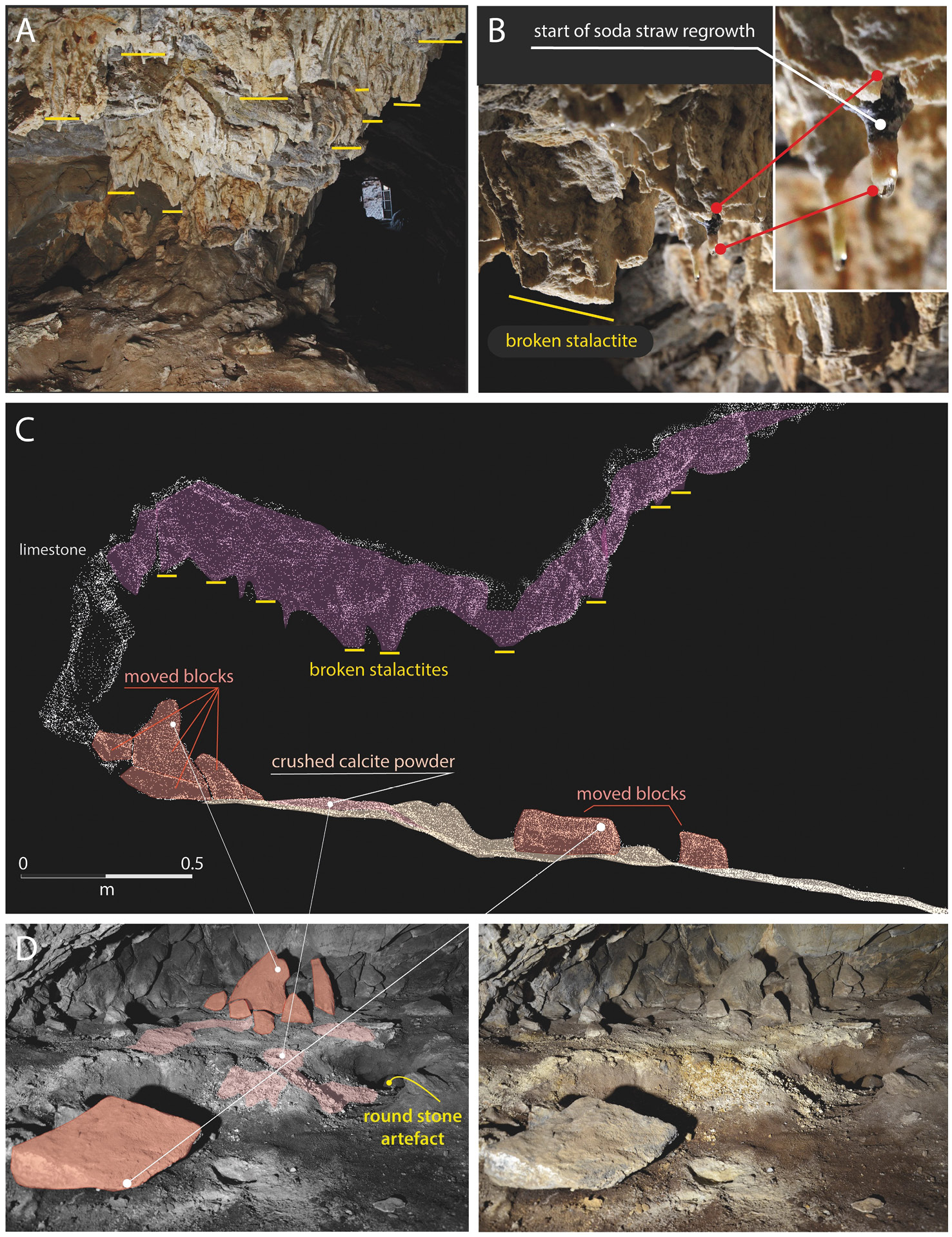 above An alcove in the upper chamber of Cloggs Cave produced intriguing traces of earlier activity. This image shows: (A) broken stalactite stumps on the alcove’s ceiling; (B) areas of regrowth on the broken stalactites, showing they are not modern breakages; (C) a cross-section of the alcove created using high-resolution LiDAR; (D) a stone arrangement. All of the elements tinted orange in the left-hand photograph were brought from elsewhere, while the crushed calcite powder is also visible.