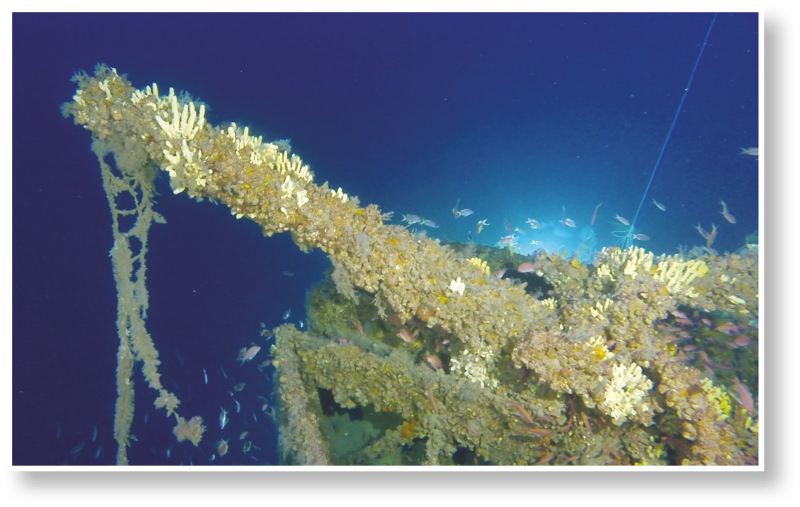 Two views of the wreck, one showing the conning tower hatch [above], the other a deck gun still pointing upwards [left].