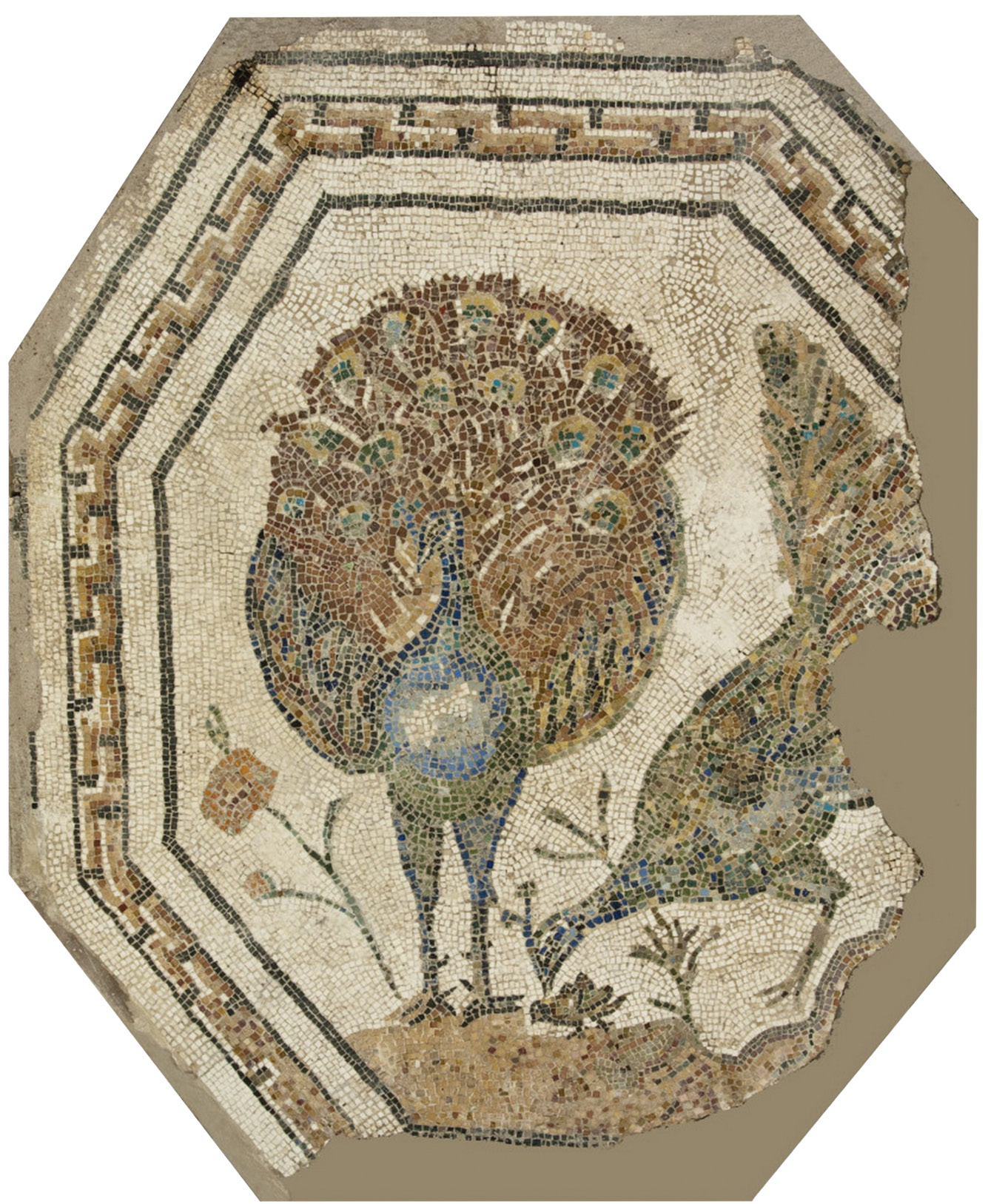 BELOW Polychrome octagonal mosaic with peacocks, found in a tomb along the Appian Way. 2nd century AD.