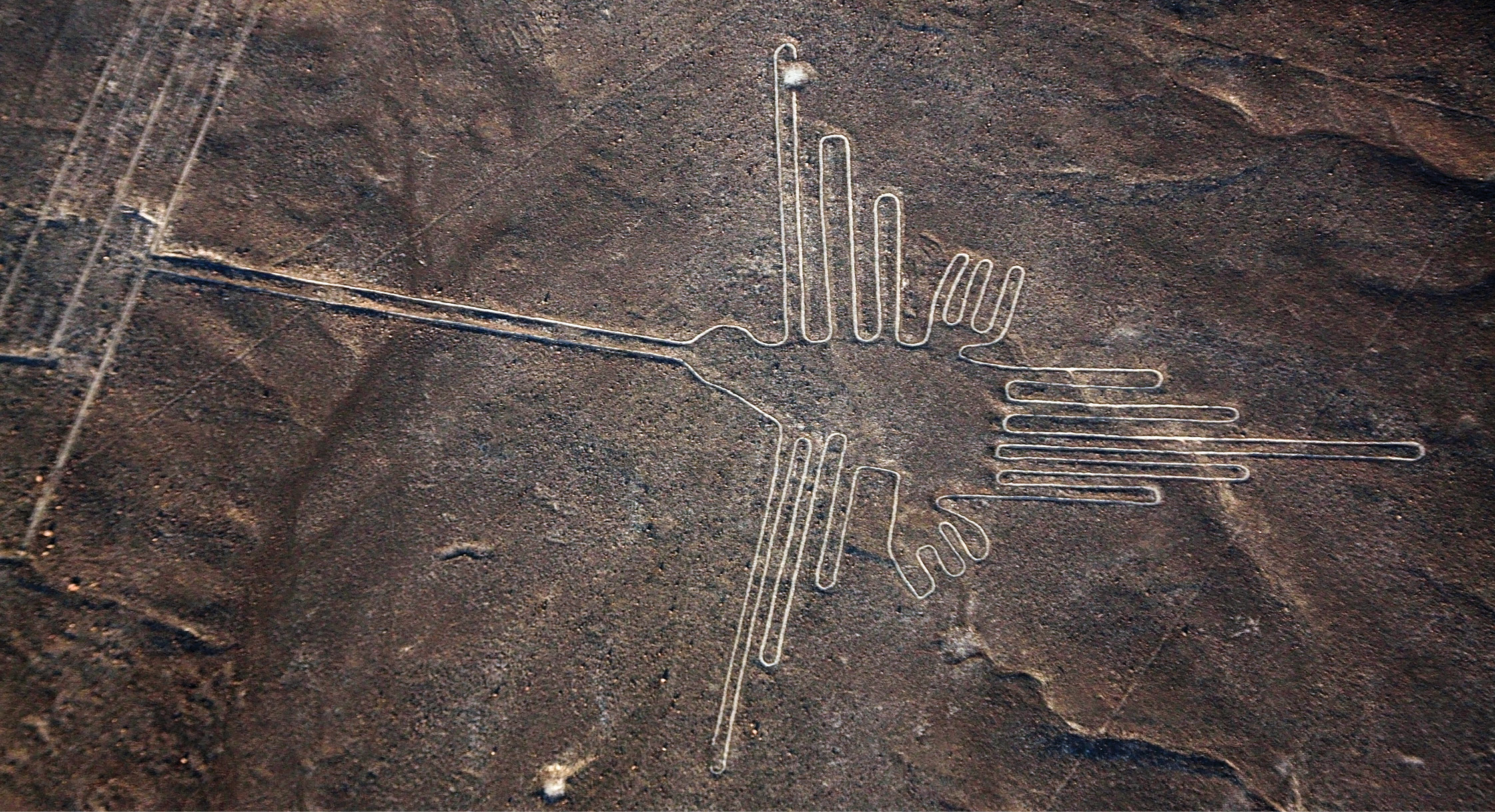 above The hummingbird sketched out using a single line running across the landscape is one of the most famous examples of the Nasca lines. Both this technique and its scale 90m long distinguishes it from the Palpa figures.