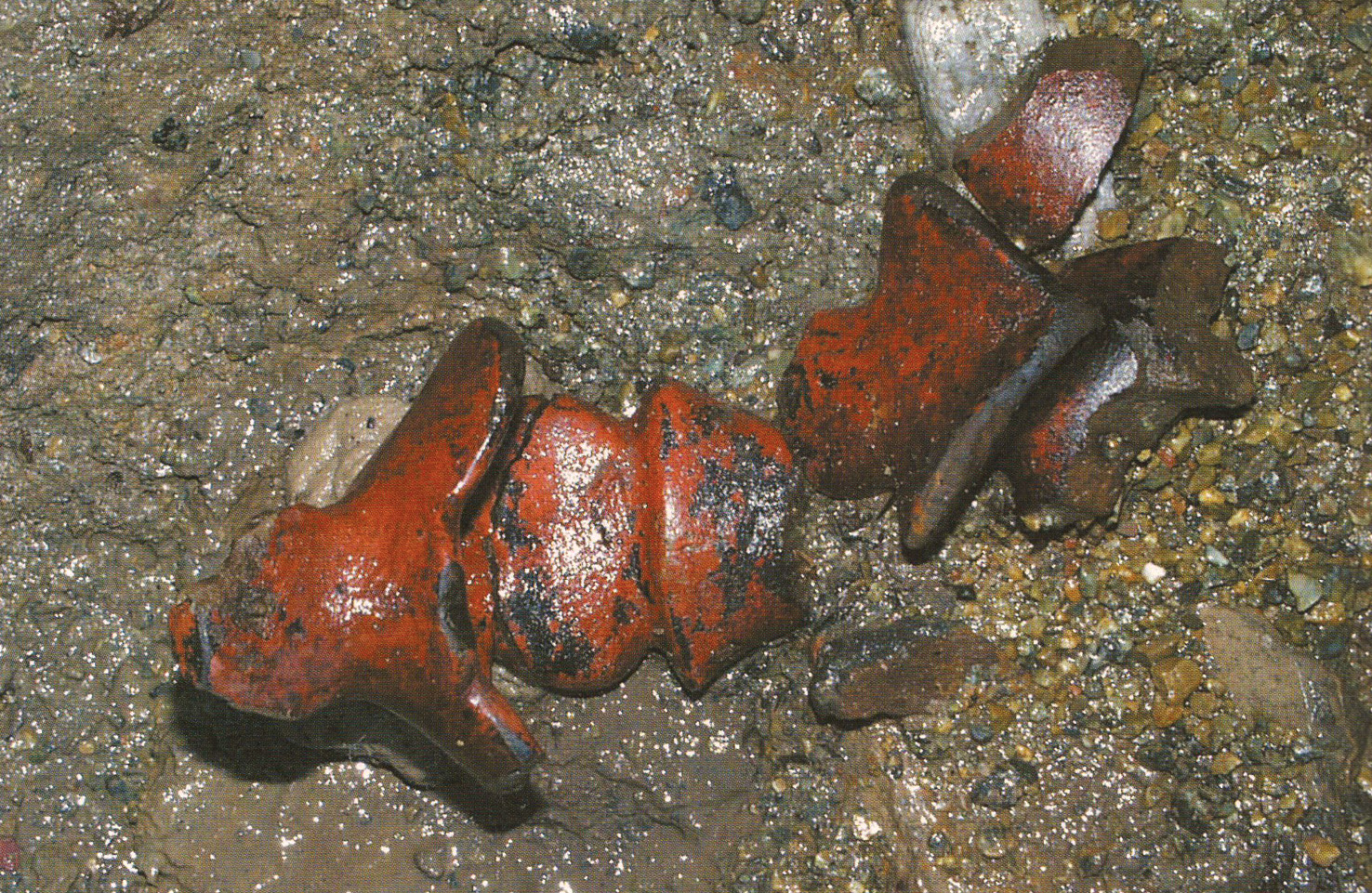 LEFT & BELOW Organic materials at Shimoyakebe included this finely carved and lacquered wooden handle, probably for some kind of ladle. The shape is reminiscent of the phallic stone bars from other Jomon sites.