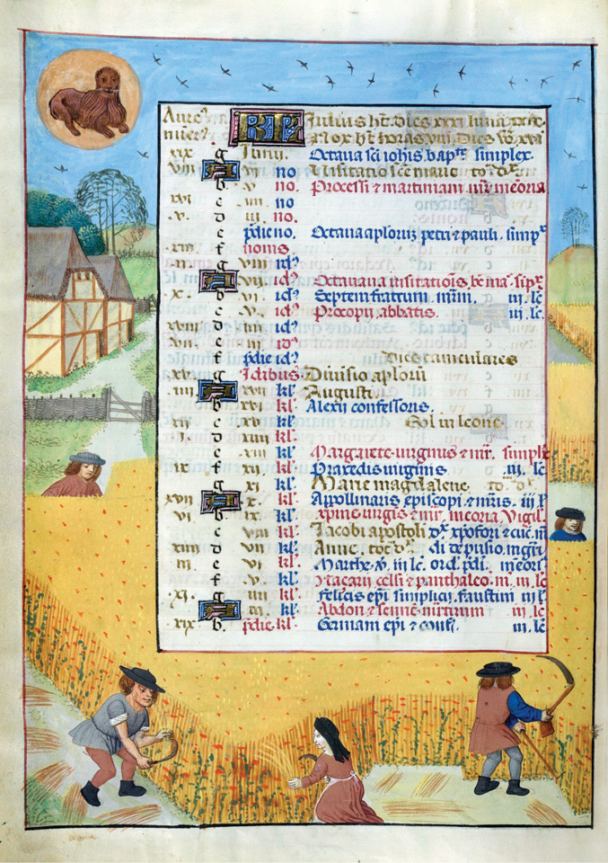 left Like their modern counterparts, medieval calendars could be illustrated with temporally appropriate images. This leaf, from a lavish 15th-century manuscript from Bruges, is decorated with an agricultural scene featuring peasants harvesting grain using sickles. Saints’ feast days are listed in the centre of the page.