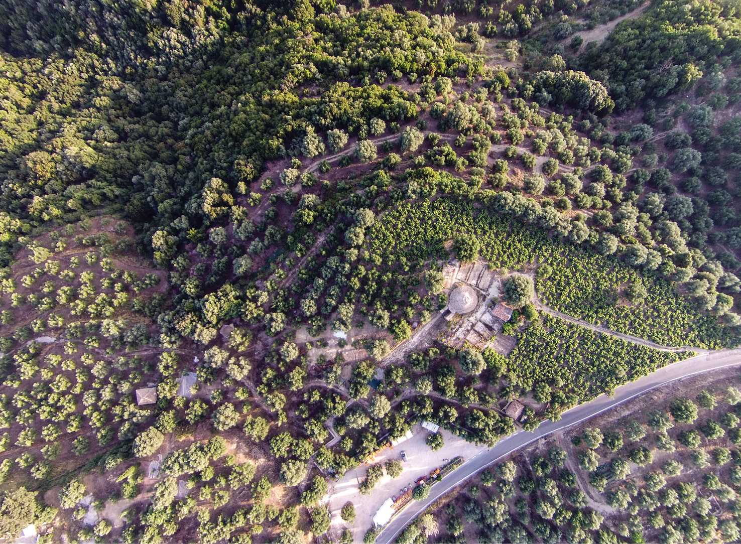 left Drone's eye-view showing the location of the warrior's grave (white circle) near Tholos IV, adjacent to the Palace of Nestor. below Tholos IV was the communal tomb for the elite of the Mycenaean palatial community.