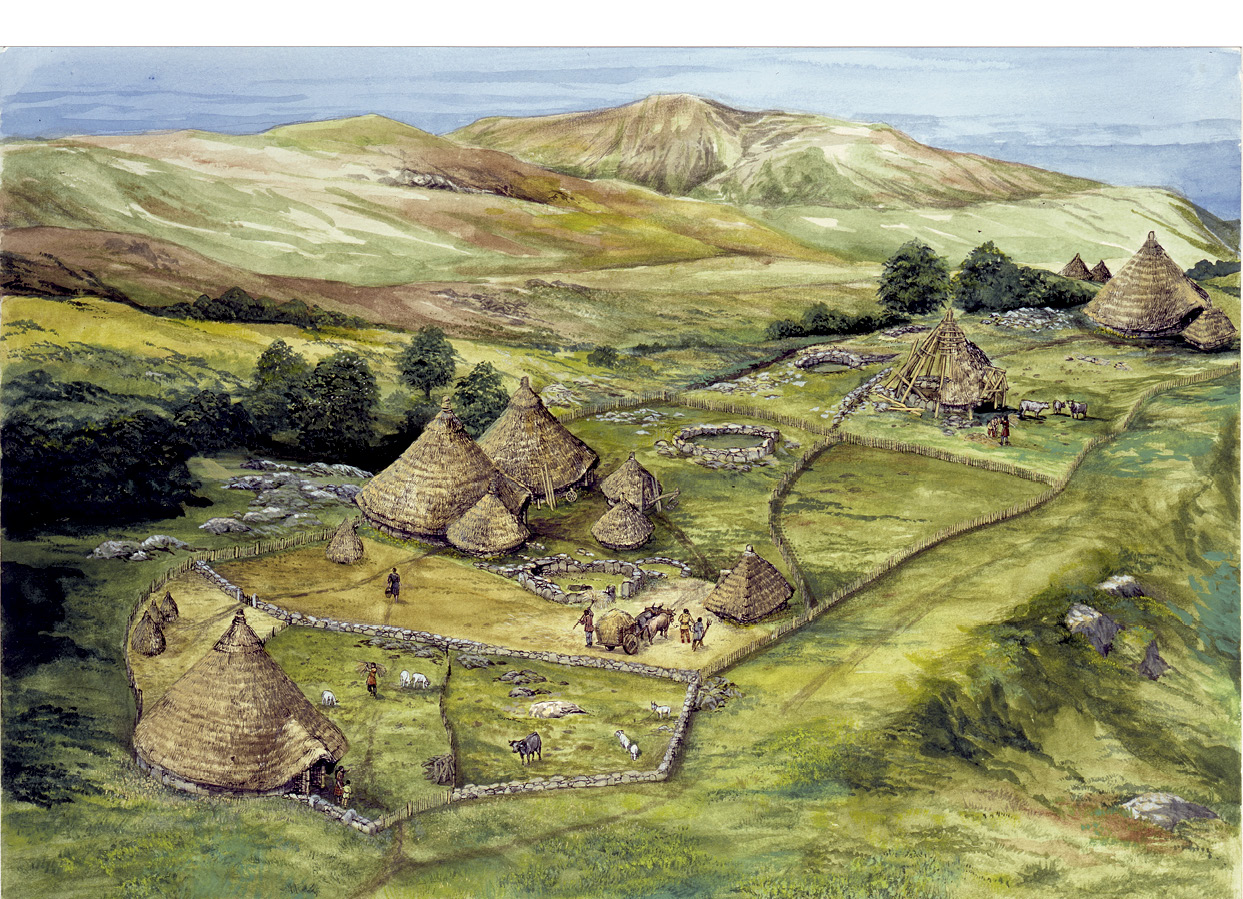 below This reconstruction of an Iron Age settlement at Ty Mawr is an example of the typical unenclosed farmsteads found on Anglesey, made up of roundhouses and livestock
