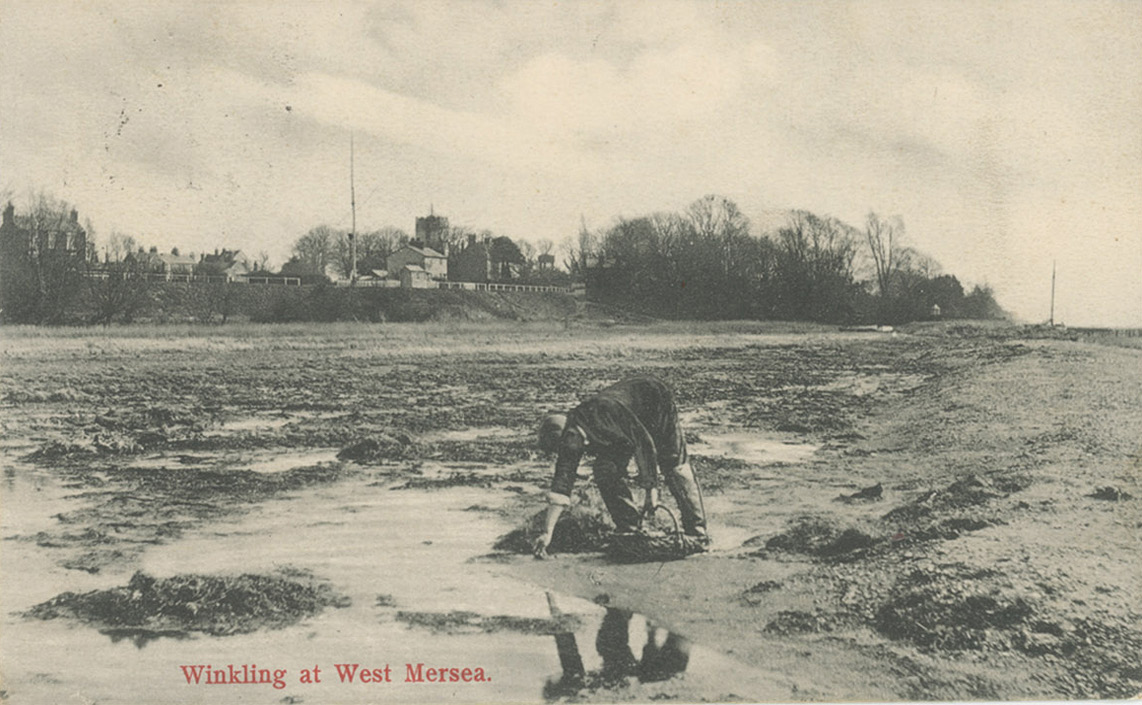 BELOW The collection of winkles and cockles was a serious business in the 1920s (shown on the left), but changes in the coastal environment wiped them out by the end of the 20th century (the photograph on the right was taken in 2021).
