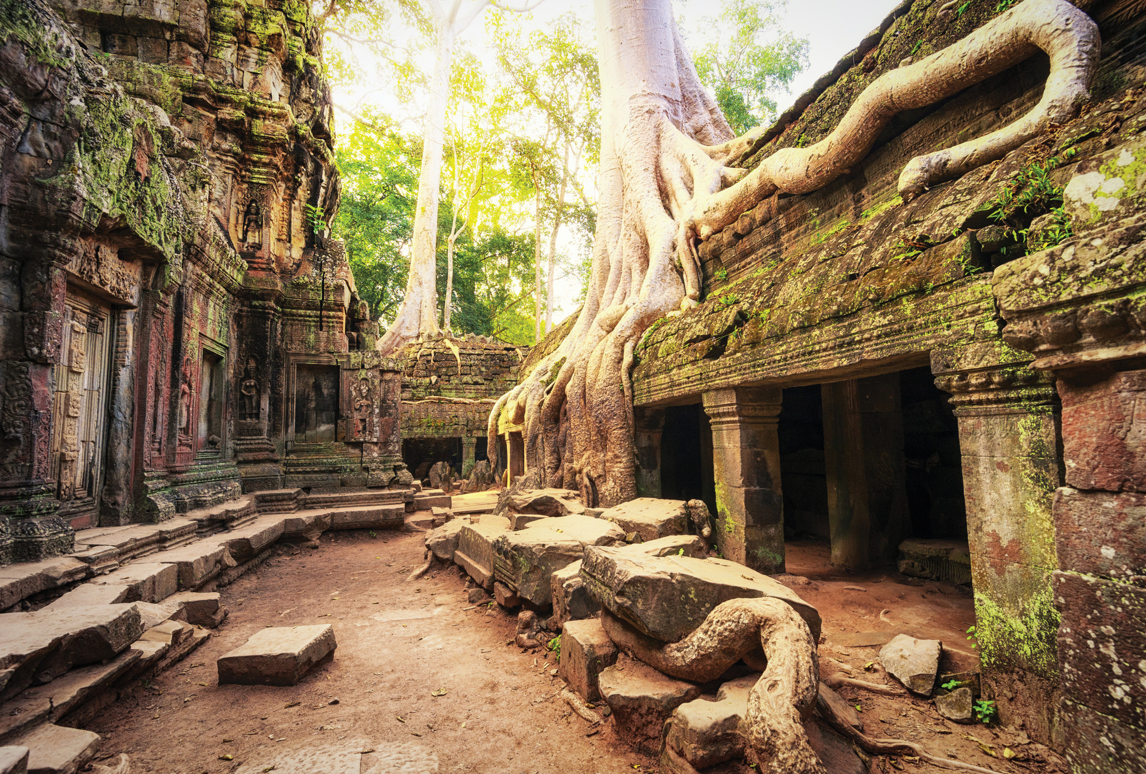 BELOW The ruins of Angkor Wat, Cambodia, were ultimately reclaimed by the jungle. Just as with the Maya cities of South America, airborne LiDAR survey is revealing that the urban settlement at Angkor Wat, and across the Greater Angkor region, extended far beyond the monumental core.