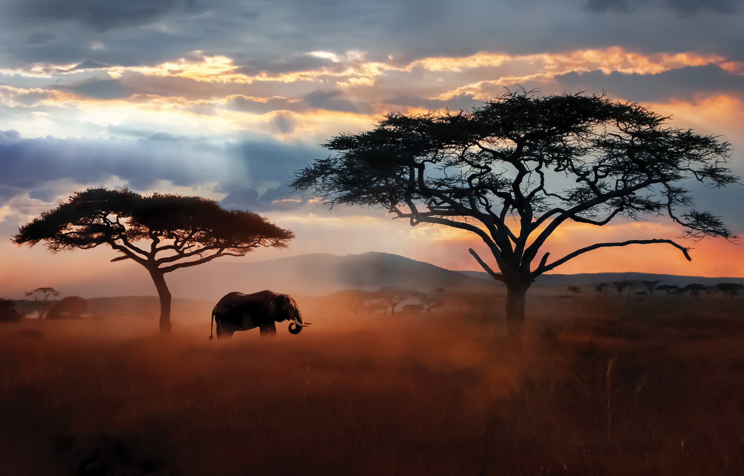 BELOW The African savannah. Our early human ancestors apparently started taking an increasing interest in such environments between about 4 million and 2 million years ago.
