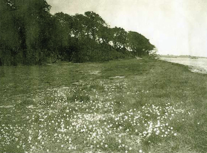 BELOW In the 1920s (left) Mersea Island’s sandy cliffs were shielded from coastal erosion by wide expanses of grassland. Once that protection had gone, the cliffs were rapidly undermined, as can be seen in this photograph from 2021 (right).
