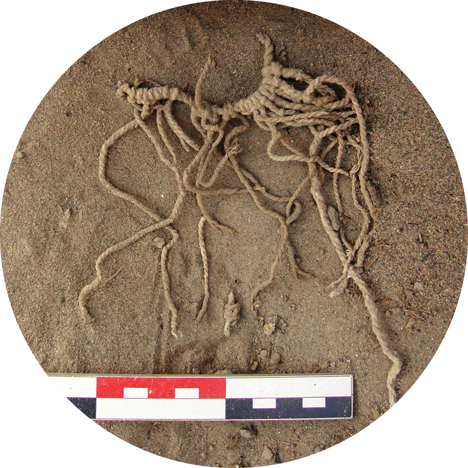 LEFT A fragment of a khipu discovered in building E8. Such knotted cords served as inventories recording the quantities and categories of goods.