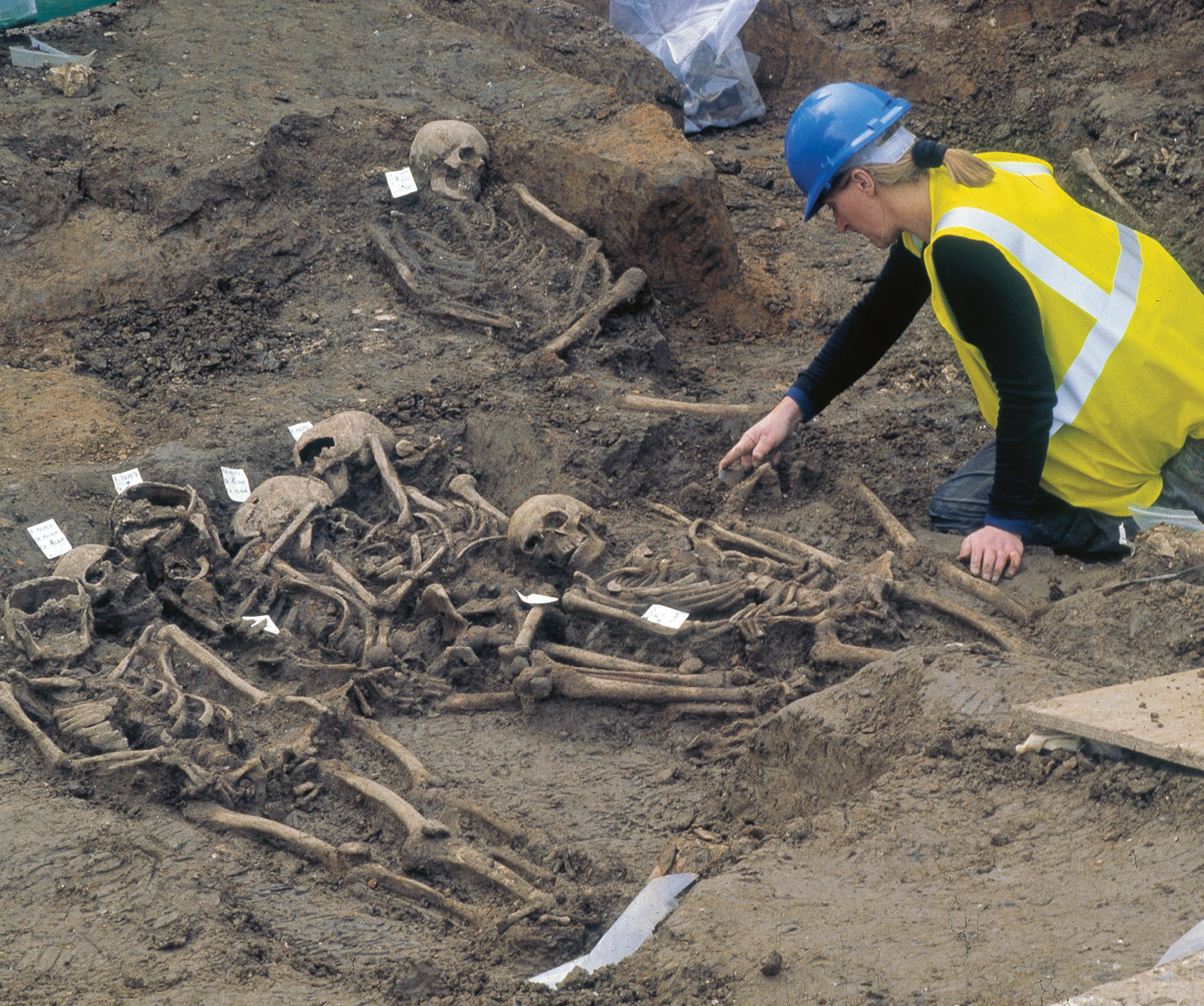 above A MOLA archaeologist excavates one of the mass burials in Spitalfields cemetery.
