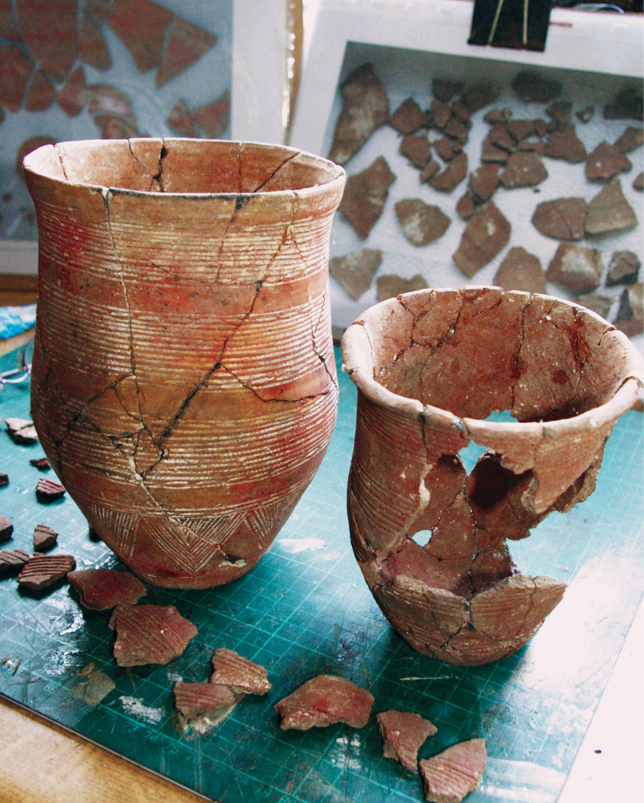 ABOVE Conservator Mike Henderson’s work in progress on the beakers from Canada Farm. That to the left was placed at the feet of the 25- to 30-year-old male in the primary burial. The beaker to the right was found complete but crushed in the northern end of a further large, shallow pit within the ring ditch. Seemingly unaccompanied, was this Beaker buried with a skeleton that was lost to either the localised acidic soil or ploughing? FAR LEFT The Down Farm 80 ring ditch, lying in the field directly north of Canada Farm, had its mound fully restored in 2011. The positions of three Middle Bronze Age burials found during excavation have been marked in cement. The reconstruction reveals how prominent the freshly made mound would have been.