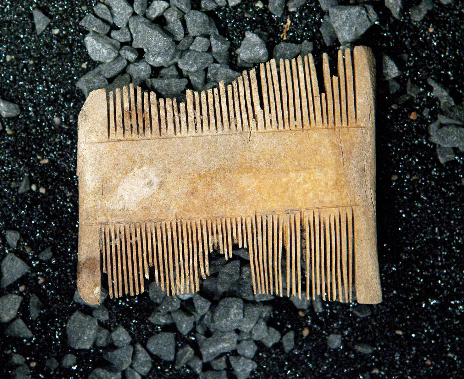BELOW The two individuals with dwarfism were buried in an identical fashion to others in the graveyard. This elk antler double comb was one of the man’s grave goods and helped date the burial to the 11th century.