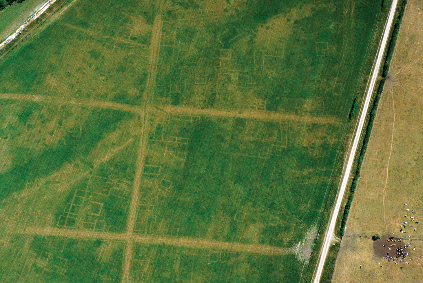 below Silchester features repeatedly in antiquarian accounts of crop marks. Here the Iron Age and Roman town is revealed by parch marks on 27 June 1995.