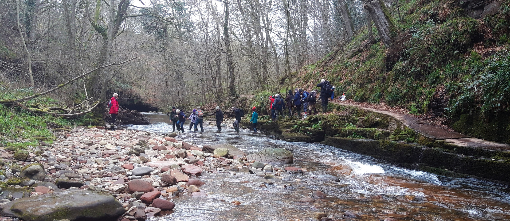 below A rather more modern group of visitors braved the River Gelt crossing to see the inscriptions for themselves in March. CA tagged along.