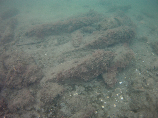 RIGHT Underwater investigation revealed the sunken ship’s heavy timbers mainly frames and planking protruding from sediment on the sea floor.
