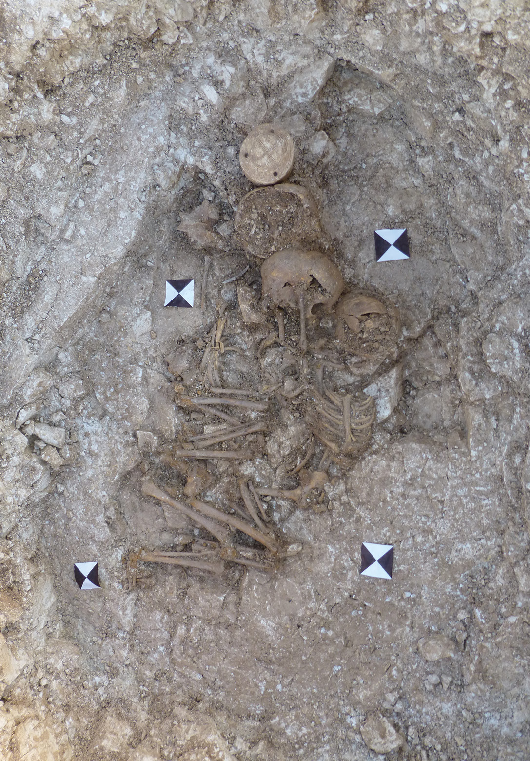 above RIGHT The drum was discovered in the burial of three Neolithic children, carefully placed above the head of the eldest.