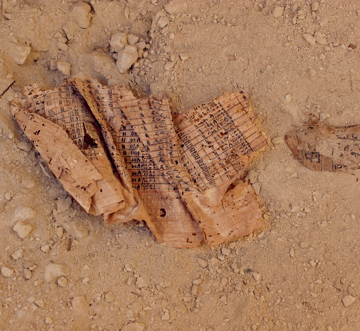 above Two of the papyri, as discovered at the G1 entrance. Papyrus B, Inspector Merer’s logbook, can be seen to the left, with accounts papyri to the right. Both are seen prior to conservation.