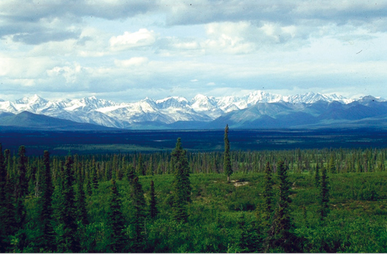 Left All of Europe’s proximity to oceans means a moderate climate and a diversity of eco-zones from the cold taiga forest of the far north [above], through the temperate steppes and plough-lands of Middle Europe [below], to the warm Mediterranean littoral in the south.