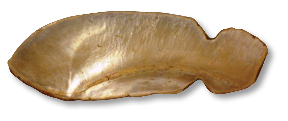 left A fishing lure made from the shell of a freshwater mussel. below An artist's interpretation of the bone-grease rendering process.