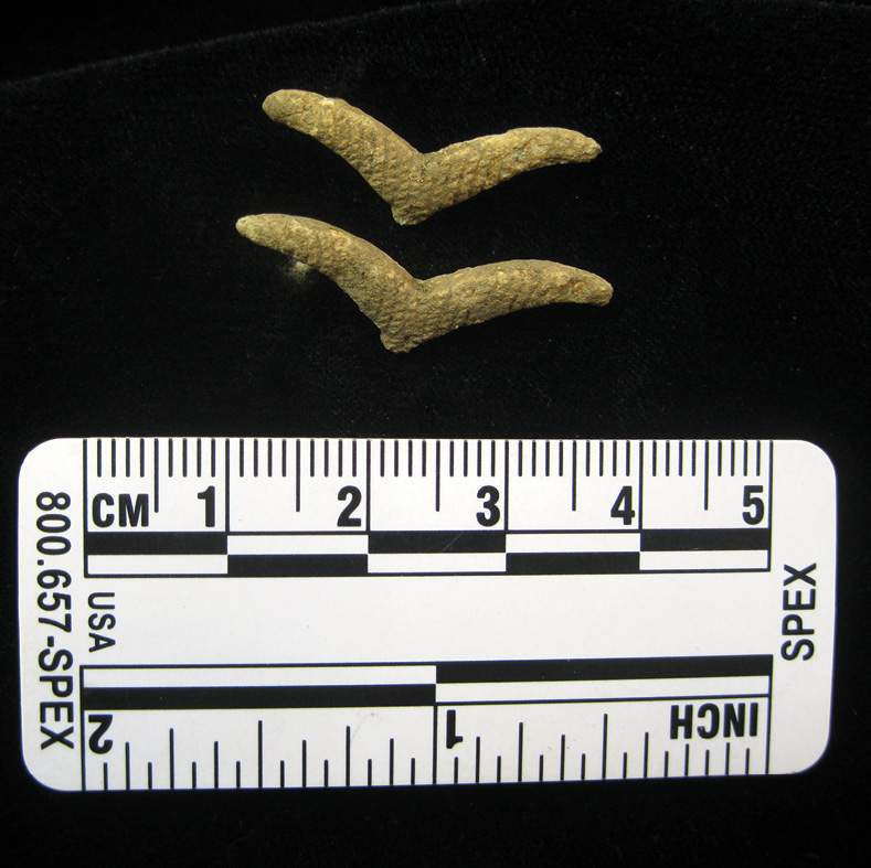 below These pins are thought to have come from a Luftwaffe uniform. below right This lead-alloy camel figurine is thought to have belonged to one of the prisoners housed at Mile End. Was it a keepsake, a lucky charm, or did it have some other significance to its owner?