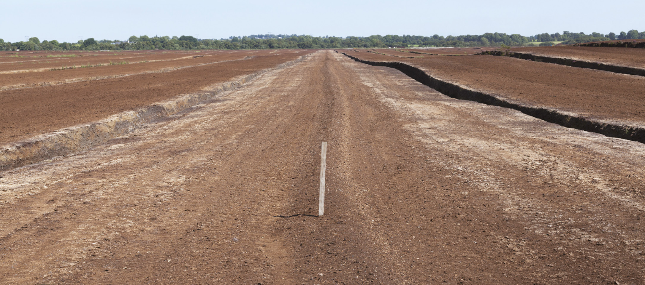 LEFT Degraded peatland; across Europe, an estimated 100,000km2 of peatland has been lost over the last 50 years, and only a fifth of UK peatlands are described as ‘near pristine’ by the IUCN.