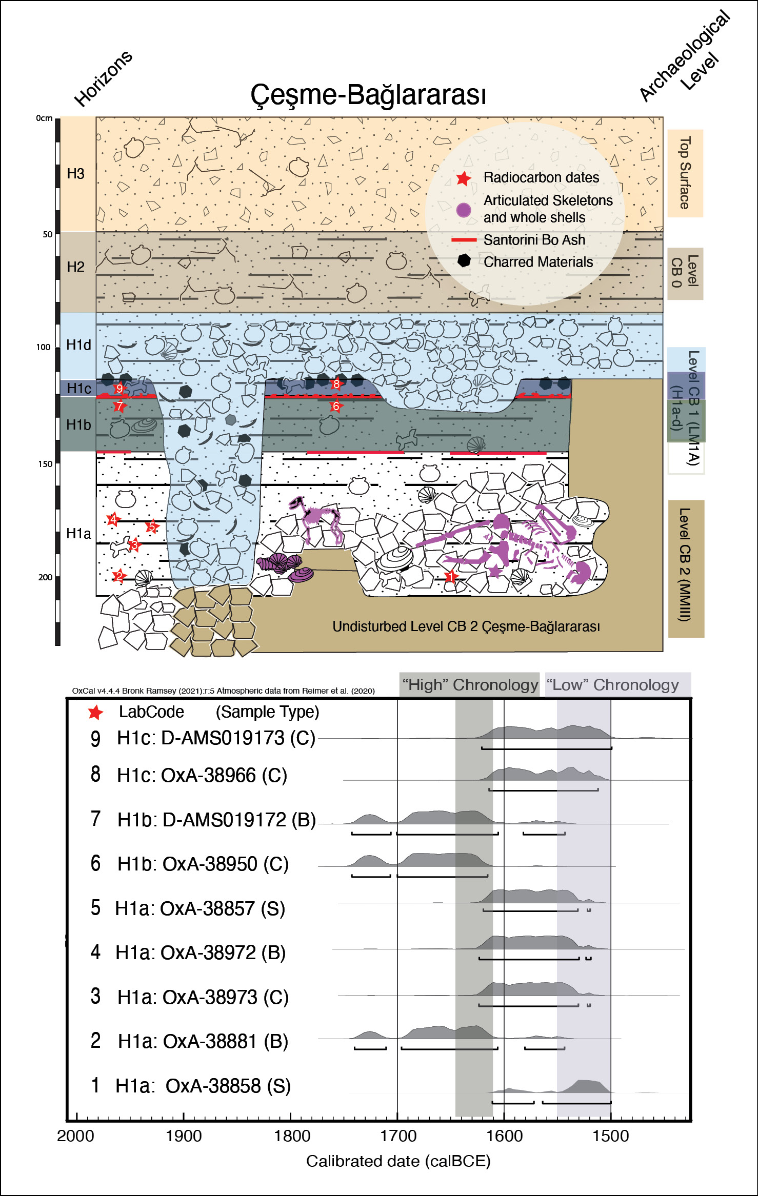 Top A schematic showing the stratigraphic sequence at Çeşme-Bağlararası. The four tsunamis are shown as H1a-H1d. Note the human skeleton found amidst the debris from the first tsunami, H1a, and the thick ash line that accumulated over the second tsunami, H1b. Pits associated with attempts to recover victims and gather material for repairs can be seen after the third tsunami, H1c. The fourth and final tsunami, H1d, was about as powerful as the first inundation. The schematic also shows where material was secured for radiocarbon dates. Above Plotting the results shows how they compare to the ‘high’ and ‘low’ chronology estimates for the Thera eruption. C refers to charcoal, S to seed, and B to bone.