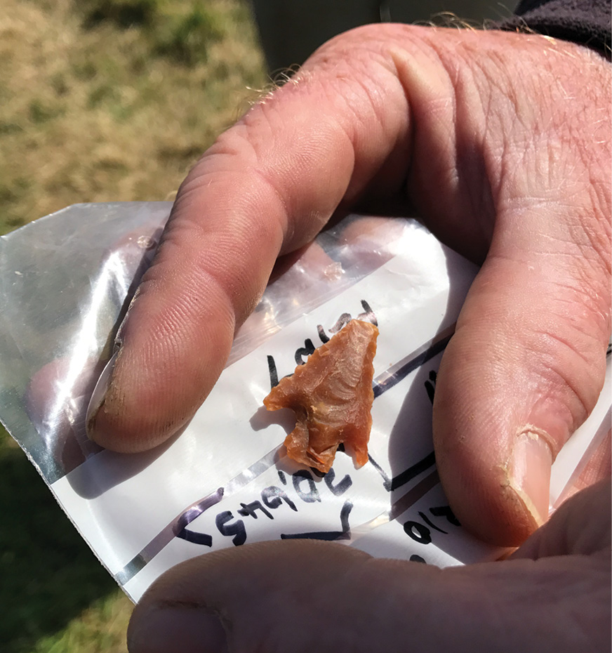 below This classic barbed and tanged early Bronze Age arrowhead was found among feasting remains dating from the dawn of the Beaker culture in Orkney.