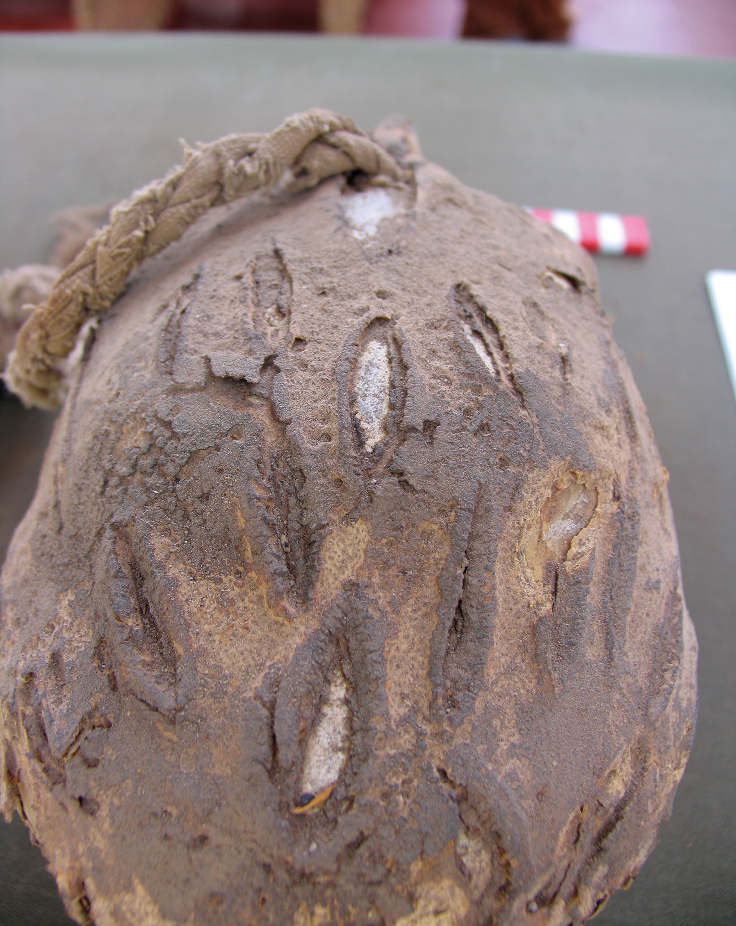 left A severed head from the Nasca site at Cahuachi. A series of fine cuts have been made in the skin.