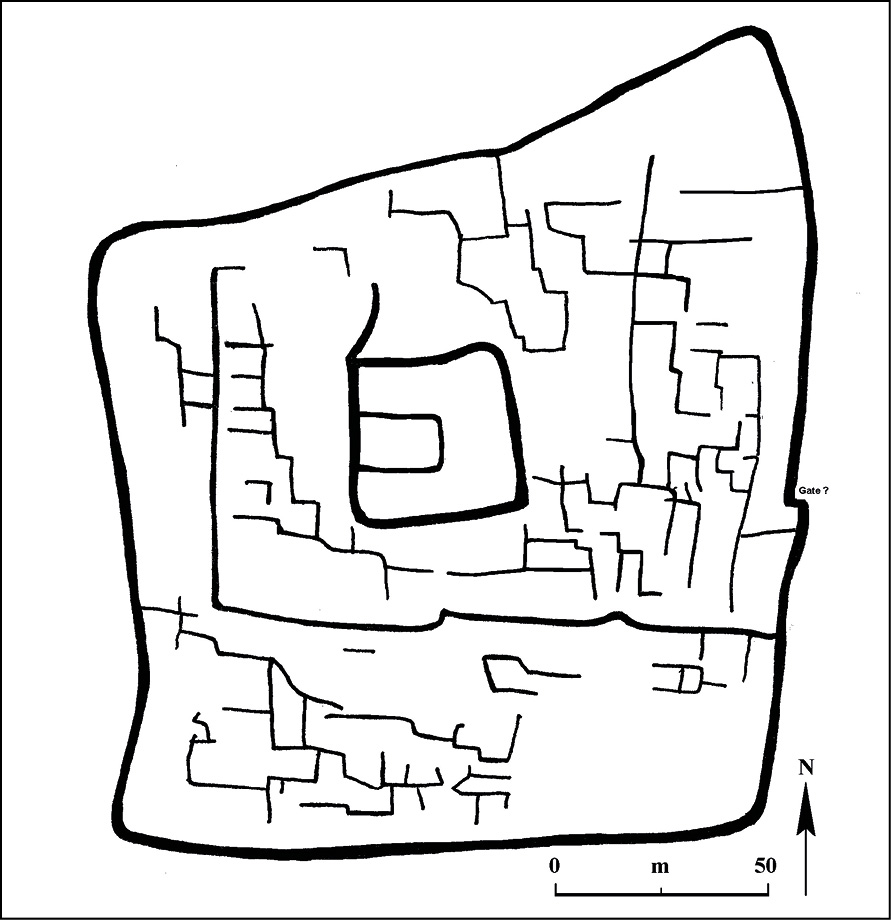 above A plan showing the Early Intermediate period walled settlement of Amato. Note the enclosure at its heart. right Worked pieces of spondylus shell found within the central compound at Amato.