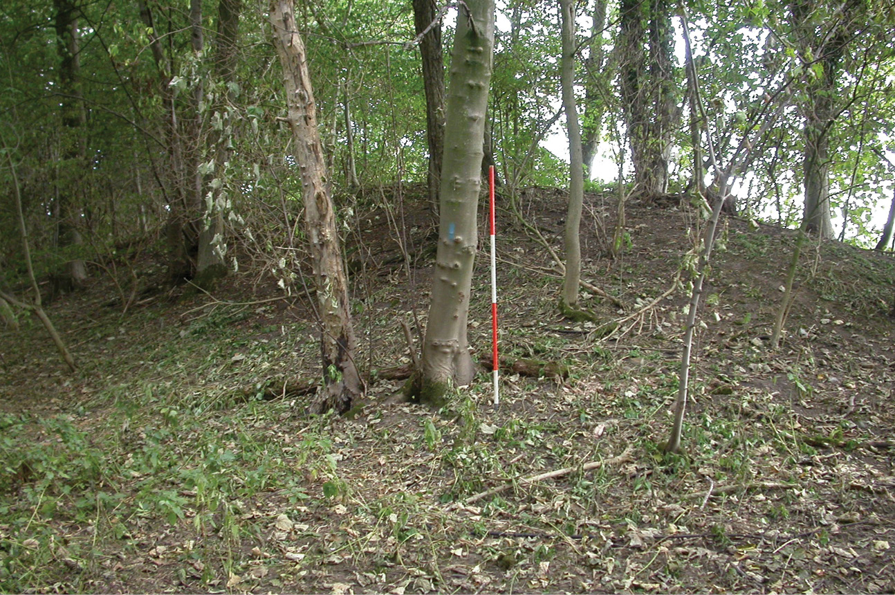 above Henges are made up of a bank (top) and a ditch (bottom) these are from the northern circle at Thornborough.